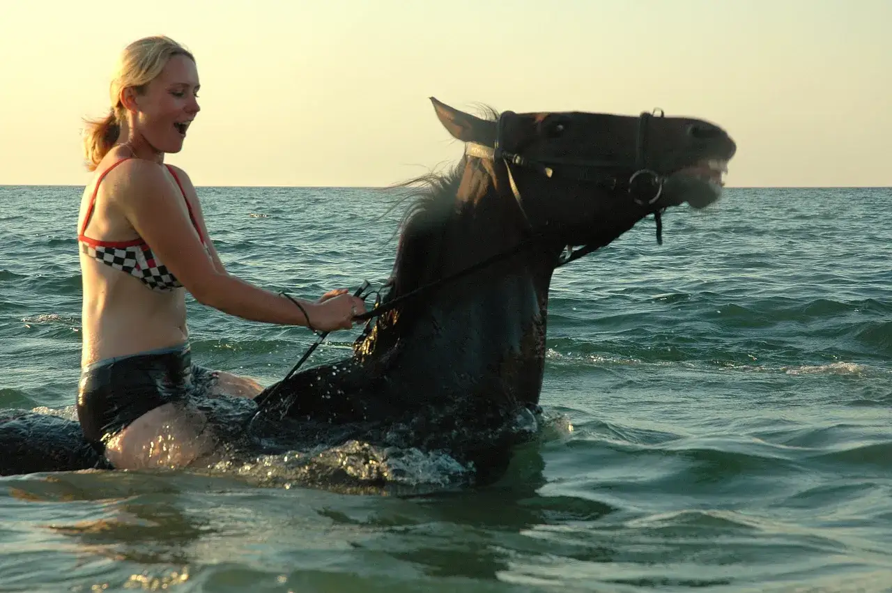 Czy koń pływa? Instynkt, korzyści i bezpieczne oswajanie z wodą