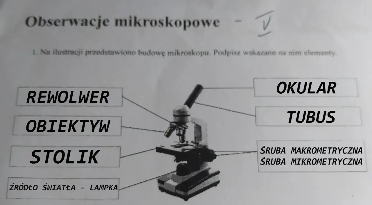 Obiektyw mikroskopu: kluczowe funkcje i zastosowania w mikroskopii