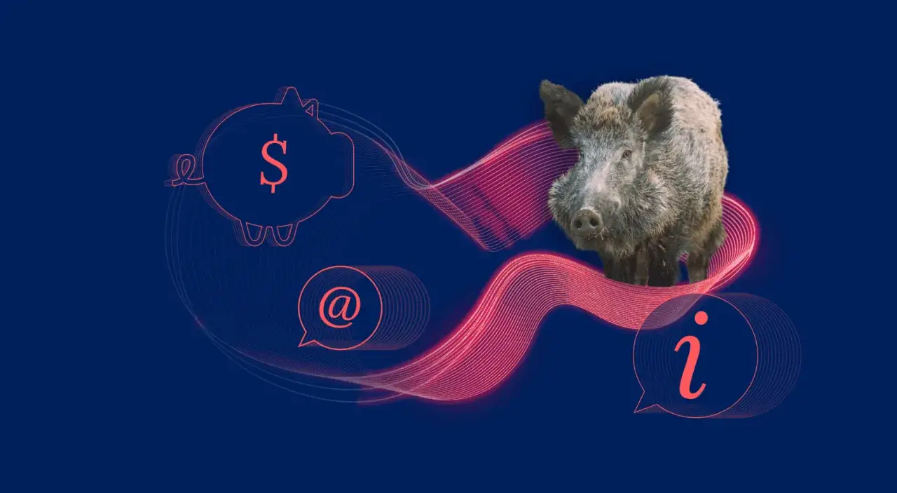 Dzik na tle grafiki z symbolem dolara i znakiem @. Czy myśliwy może dostrzelić ranne w kolizji zwierzę? Informacja.