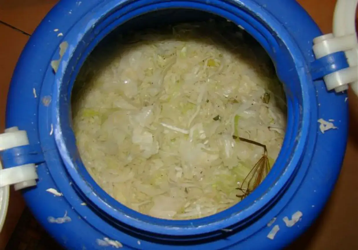 Jak kisić kapustę w beczce plastikowej - unikaj najczęstszych błędów