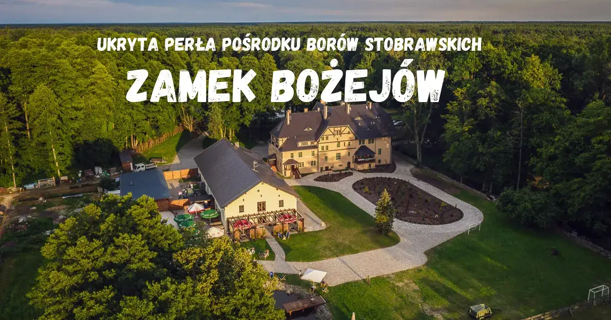 Zamek Bożejów atrakcje: odkryj niezapomniane przeżycia dla rodzin
