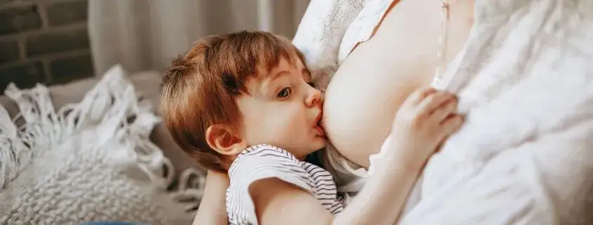 Jak rozkręcić laktację na nowo? Skuteczny poradnik relaktacji