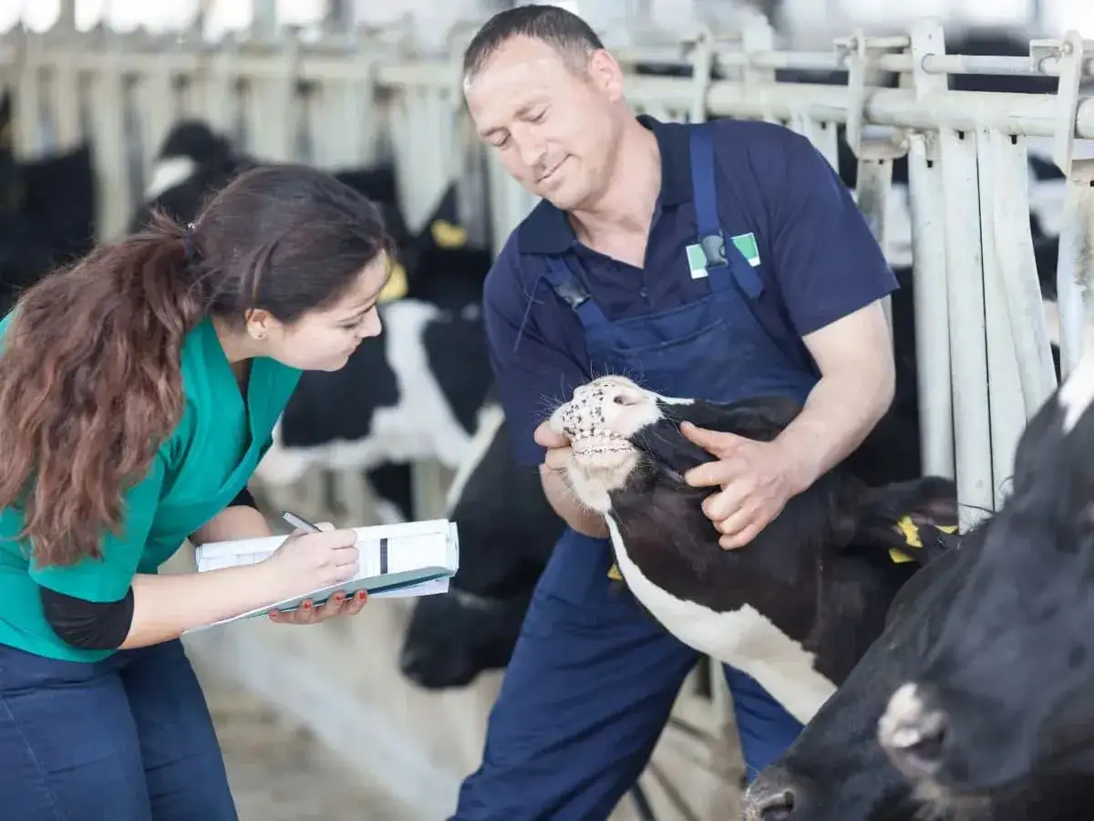 Ile zarabia technik farmacji na stażu? Zaskakujące różnice w wynagrodzeniach