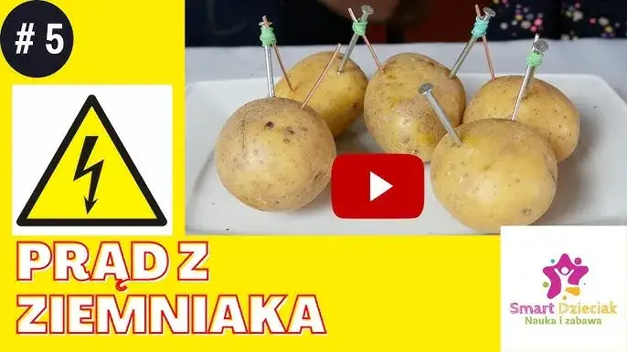 Eksperyment z ziemniakiem: 5 pomysłów na naukę i zabawę!