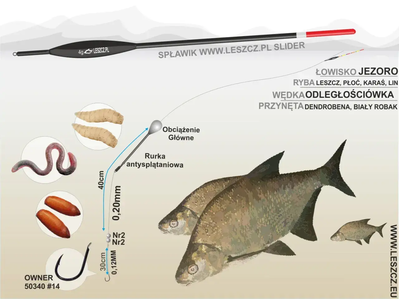 Ilustracja przedstawia zestaw wędkarski na leszcza: spławik, obciążenie, rurkę antysplątaniową, haczyk z przynętą (dendrobeny, białe robaki) i ryby.