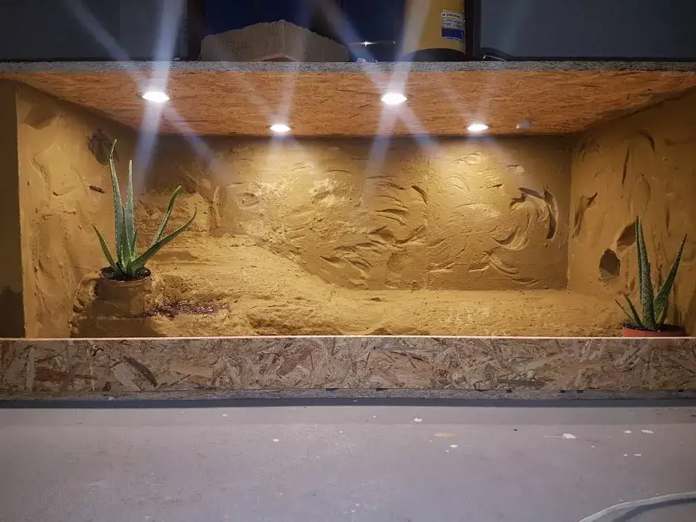 Jak zrobić terrarium z płyty OSB - prosty poradnik budowy krok po kroku