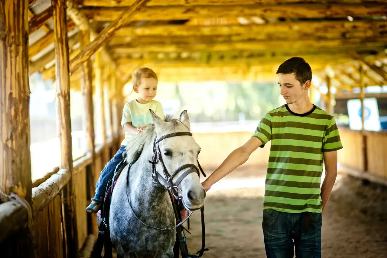 Czy mini zoo w Inwałdzie to raj dla małych miłośników zwierząt?