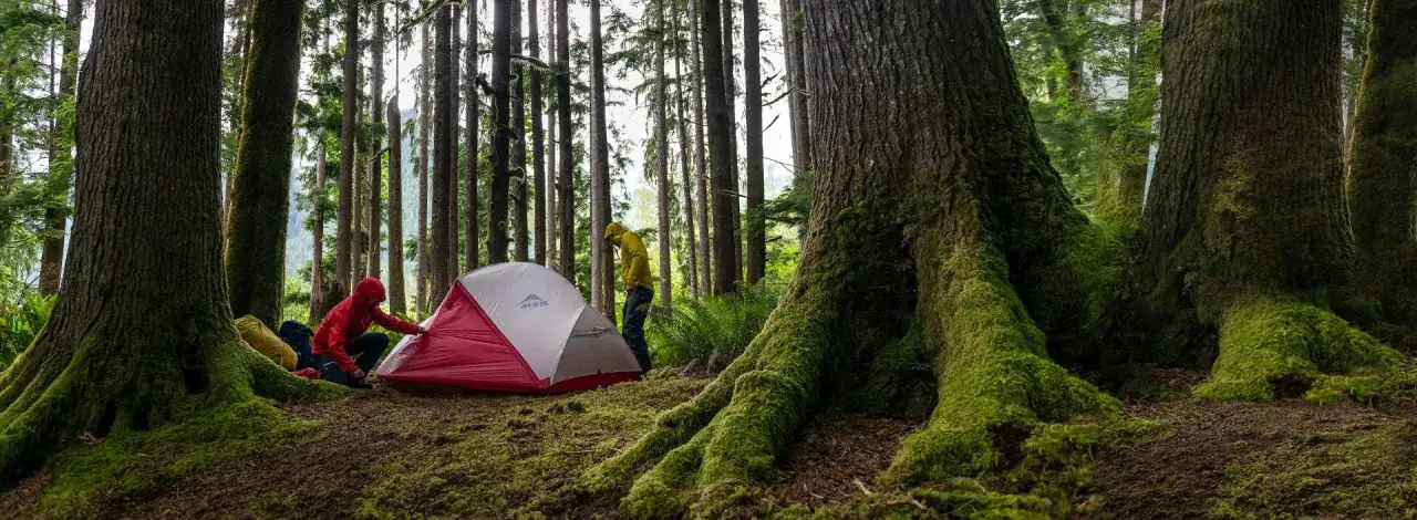 Jaki namiot na kemping: wybierz idealny model na każdą wyprawę