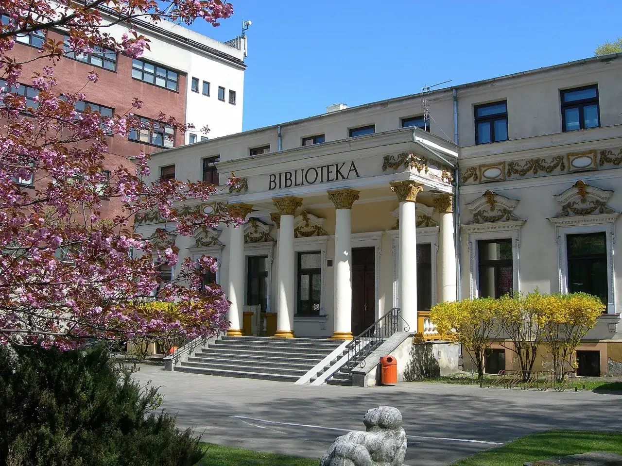 Biblioteka Pedagogiczna Radom: Skarby wiedzy dostępne dla każdego
