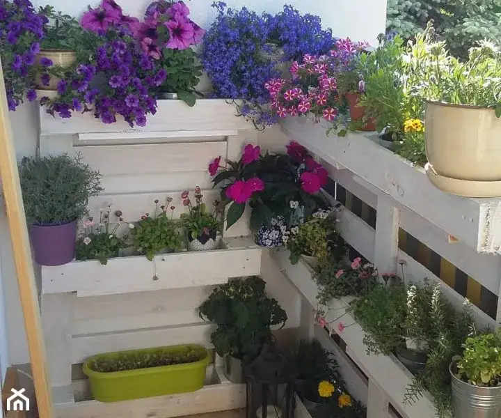 Jak zrobić kwietnik z palet: 7 prostych kroków + porady