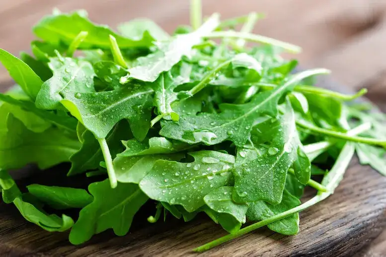 Czy rukolę można mrozić - praktyczny poradnik przechowywania w zamrażarce