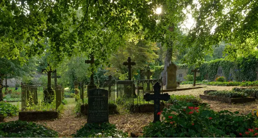 Co posadzić na cmentarzu, aby groby zawsze pięknie wyglądały