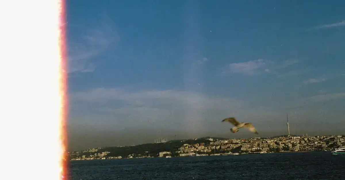 Czy filmy o hotelach zagrażają Twojemu biznesowi?