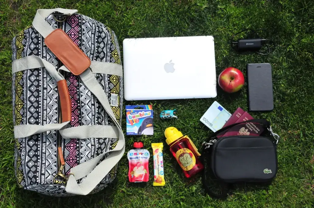 Co można zabrać do walizki lecąc samolotem: dozwolone i zakazane przedmioty