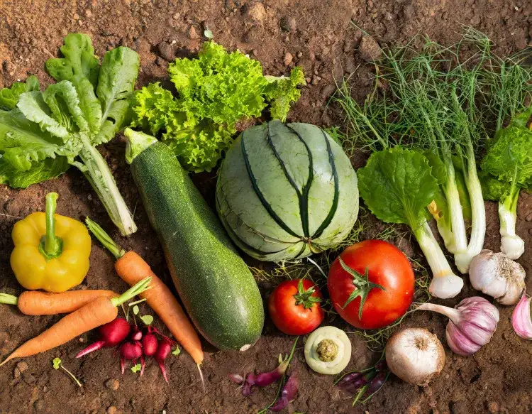 Co posadzić w ogrodzie warzywnym: 10 najlepszych warzyw