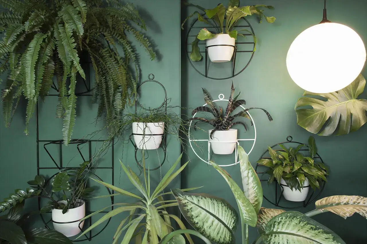 Unikaj błędów przy wyborze kwietnika do salonu