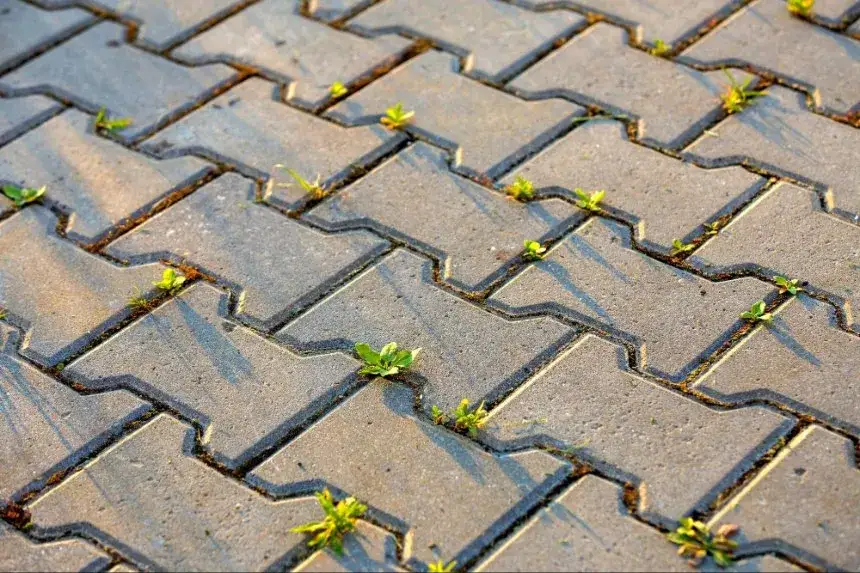 Jak usunąć trawę z kostki brukowej: 5 skutecznych metod