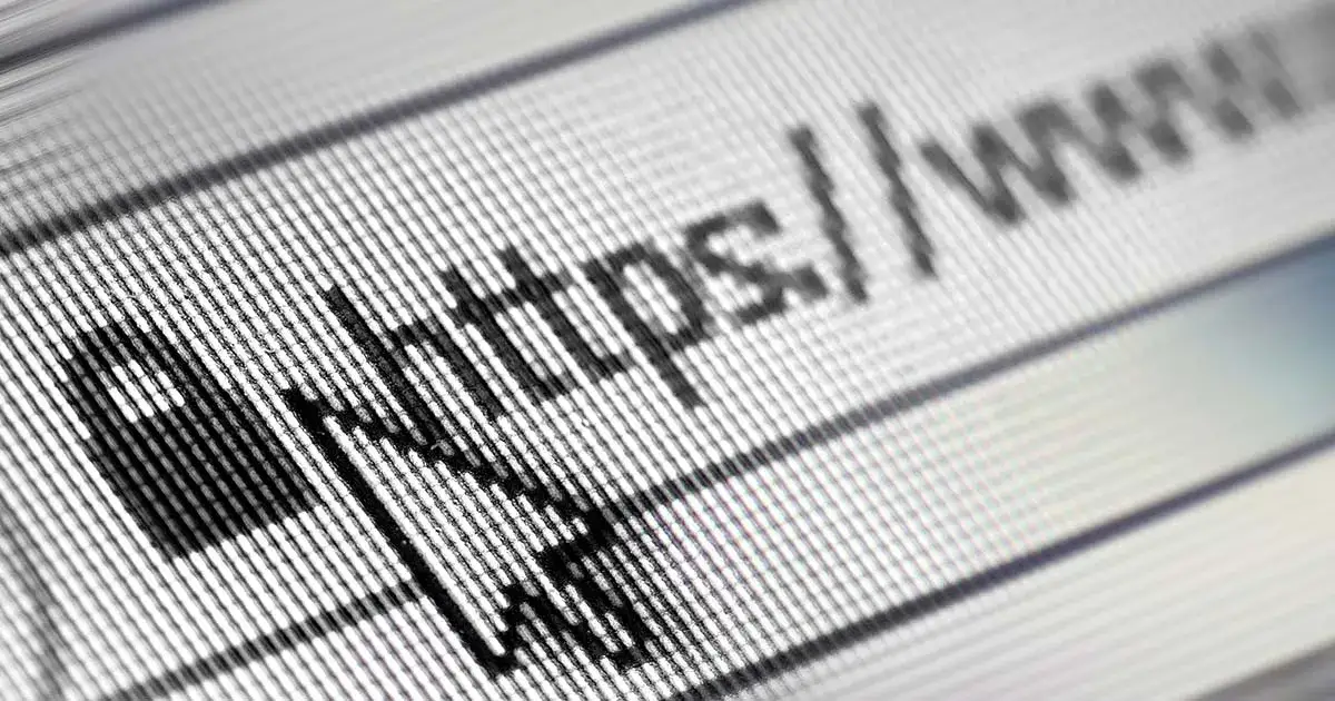 Gdzie znajduje się nazwa domeny strony internetowej w URL? Zobacz!