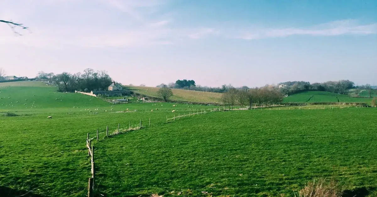 Wiejskie plenery w polskim kinie: Top 5 lokalizacji