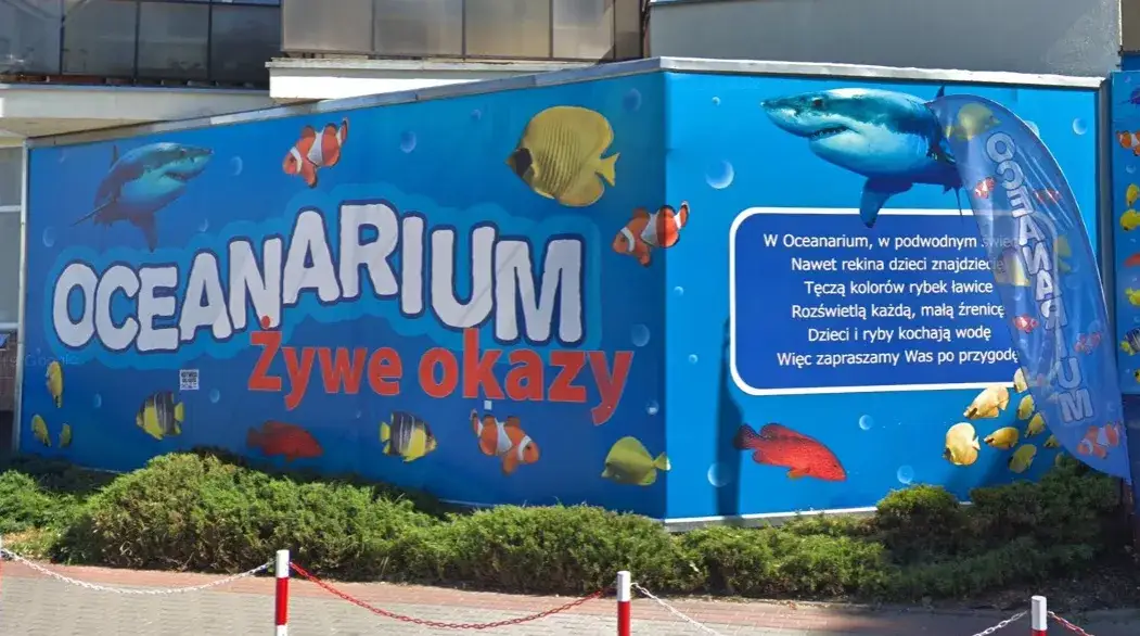 Ile kosztuje bilet do oceanarium w Kołobrzegu? Ceny i zniżki