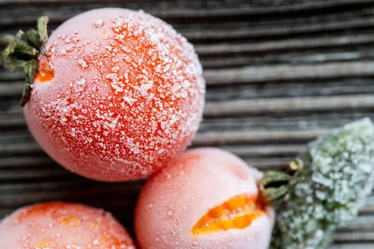 Jak mrozić pomidory w domu: sprawdzone sposoby na przechowywanie