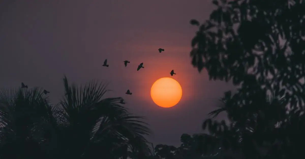 Życiowe drogowskazy: Cytaty o życiu, które niesamowicie wzruszają