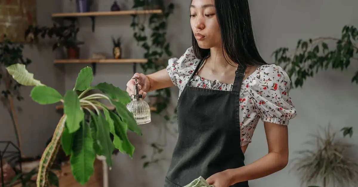 Jak stworzyć przyjazny dla natury dom ekologiczny: 10 praktycznych wskazówek