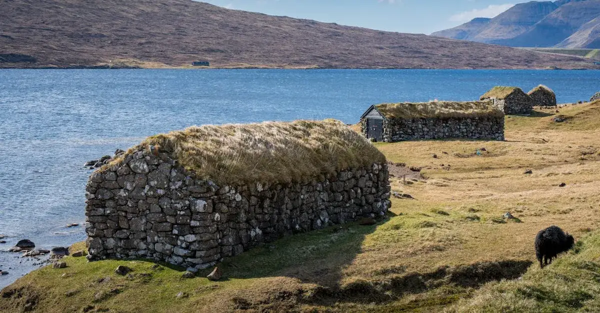 Ewangelia Łukasza 15: Co oznacza przypowieść o zagubionej owcy?