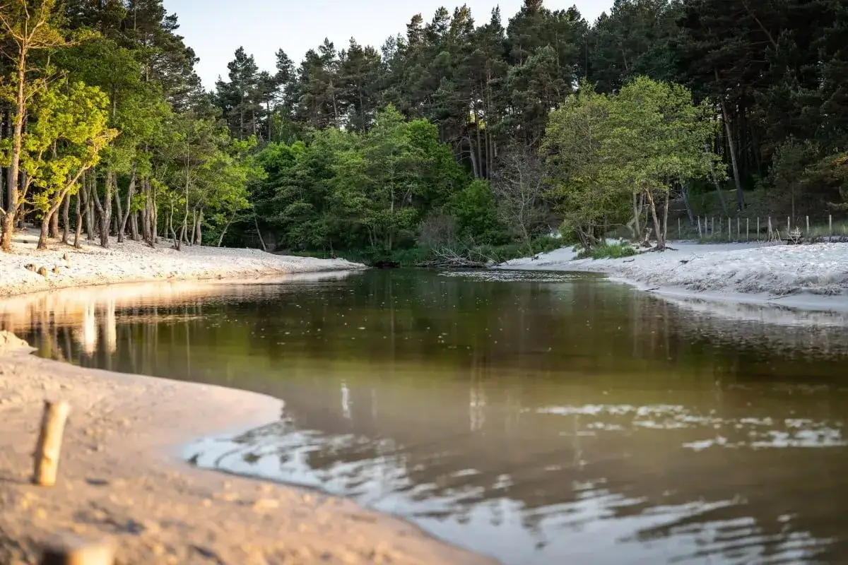 Atrakcje jeziora Żarnowieckiego: najlepsze miejsca na relaks i zabawę