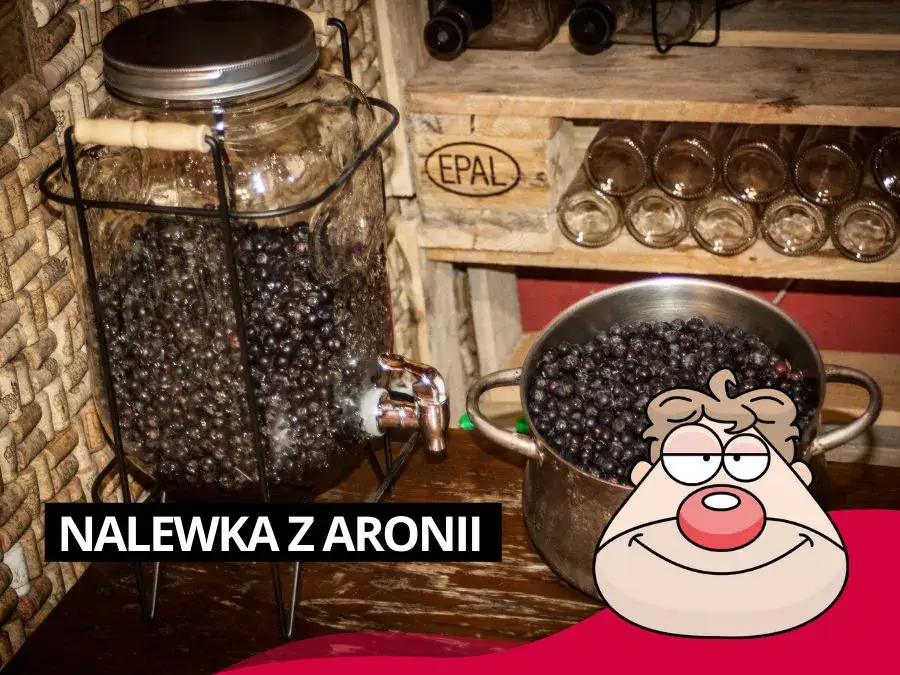 Gdzie kupić nalewkę z aronii - najlepsze miejsca i oferty