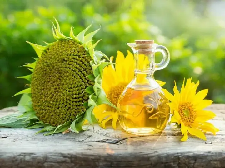 Jak stosować olej słonecznikowy na włosy - 5 skutecznych sposobów użycia