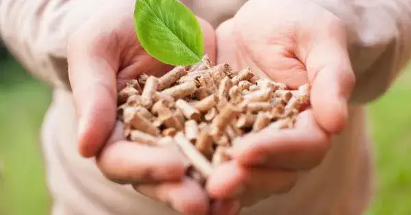 Czy pelletem można palić w kominku? Sprawdź, co musisz wiedzieć!