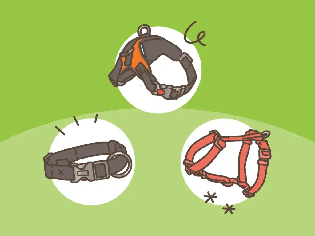 Obroża czy szelki dla dużego psa – co wybrać dla bezpieczeństwa?