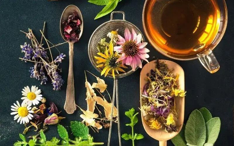 Jakie zioła na powiększenie biustu działają naprawdę i jak je stosować