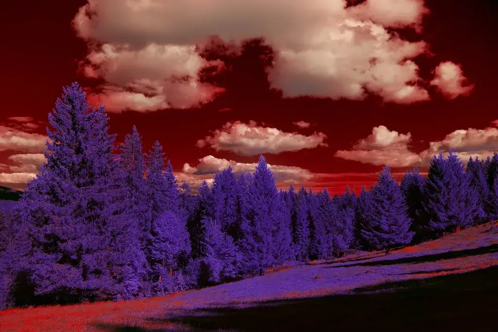 Elektronika: Nowoczesne Technologie i Ich Zastosowanie