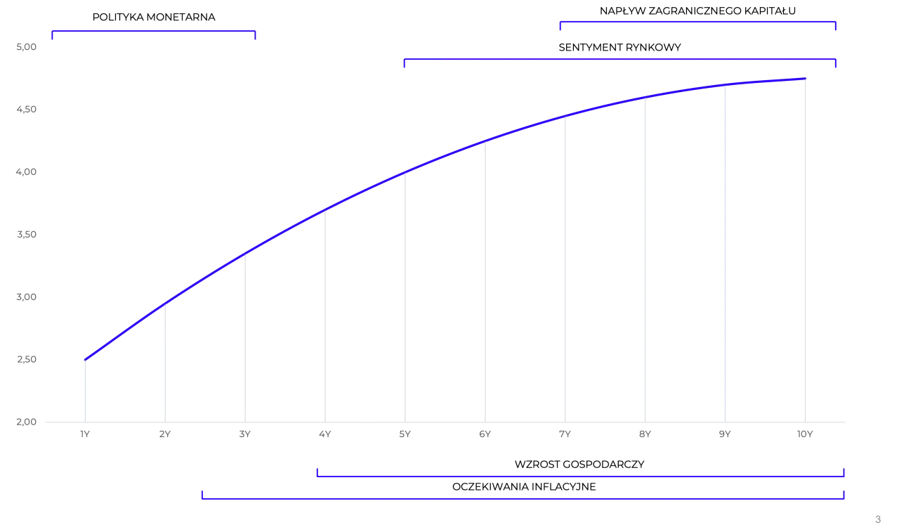 Krzywa rentowności: Kluczowy wskaźnik, który zmieni twoje myślenie o inwestycjach