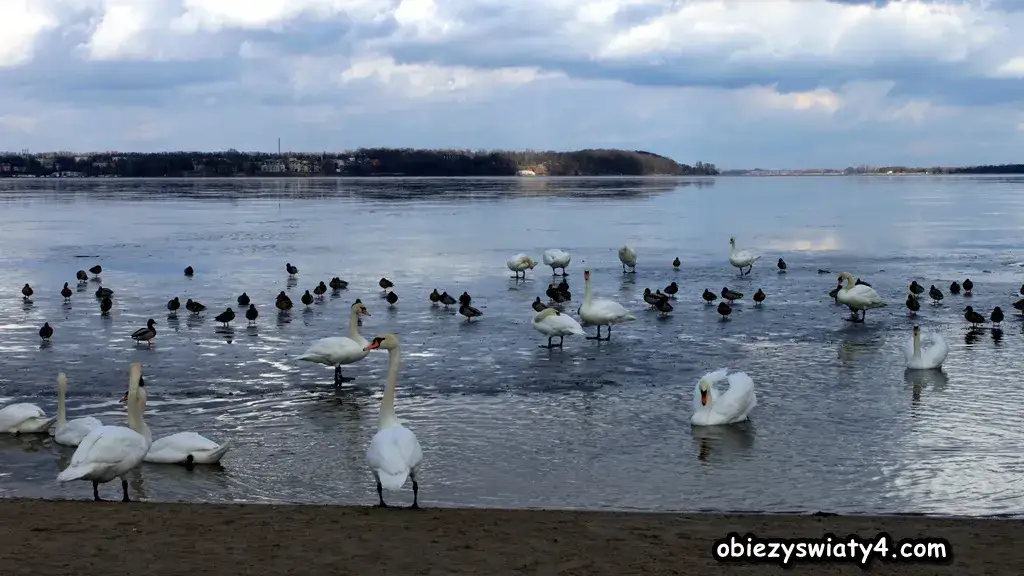 Najlepsze atrakcje w Zegrzu, które musisz zobaczyć latem