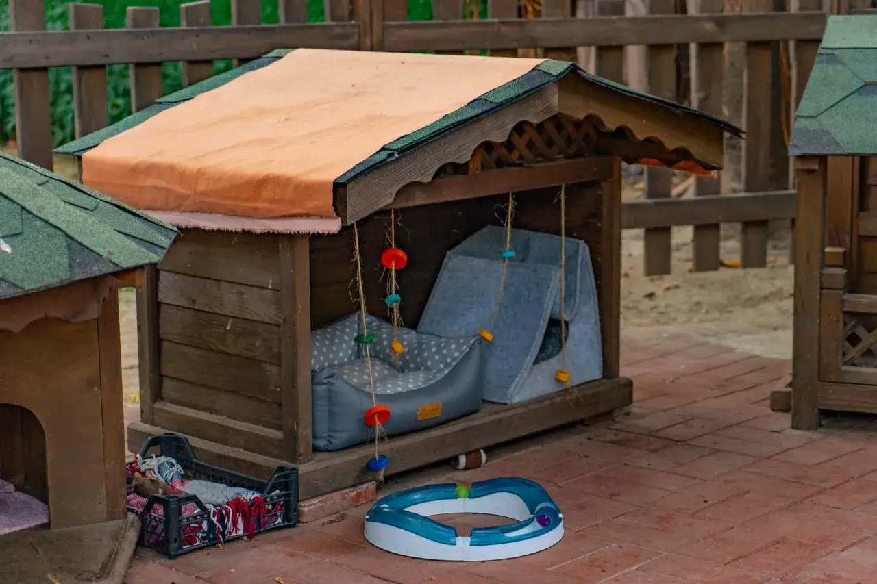 Jak zbudować budę dla psa DIY - proste pomysły i porady krok po kroku