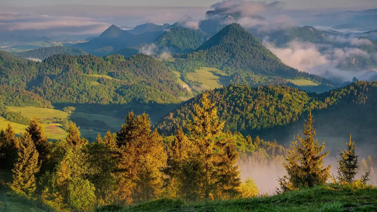 Magurski Park Narodowy: Kompletny przewodnik po szlakach i trasach
