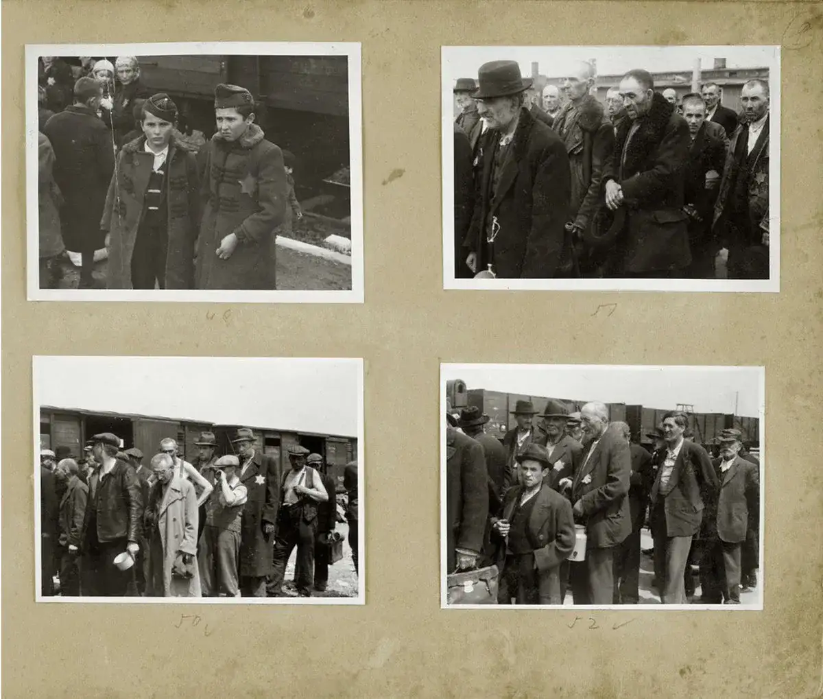 Czy w Auschwitz można robić zdjęcia? Sprawdź zasady i ograniczenia