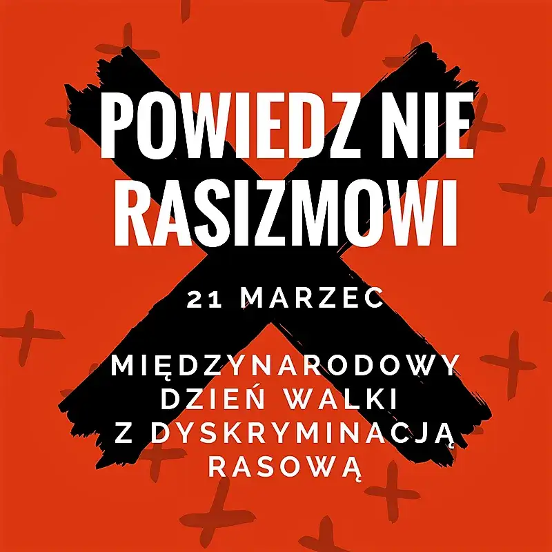 Organizacje walczące z rasizmem: jak skutecznie zmieniają świat