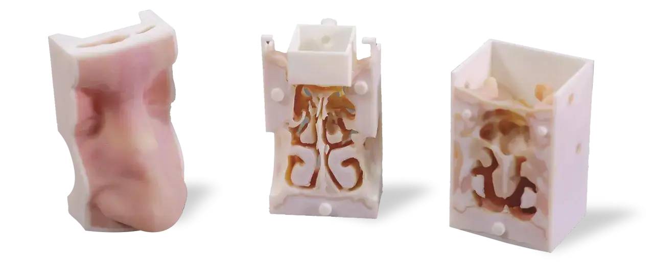 Nos do druku 3D: Przełom w medycynie rekonstrukcyjnej