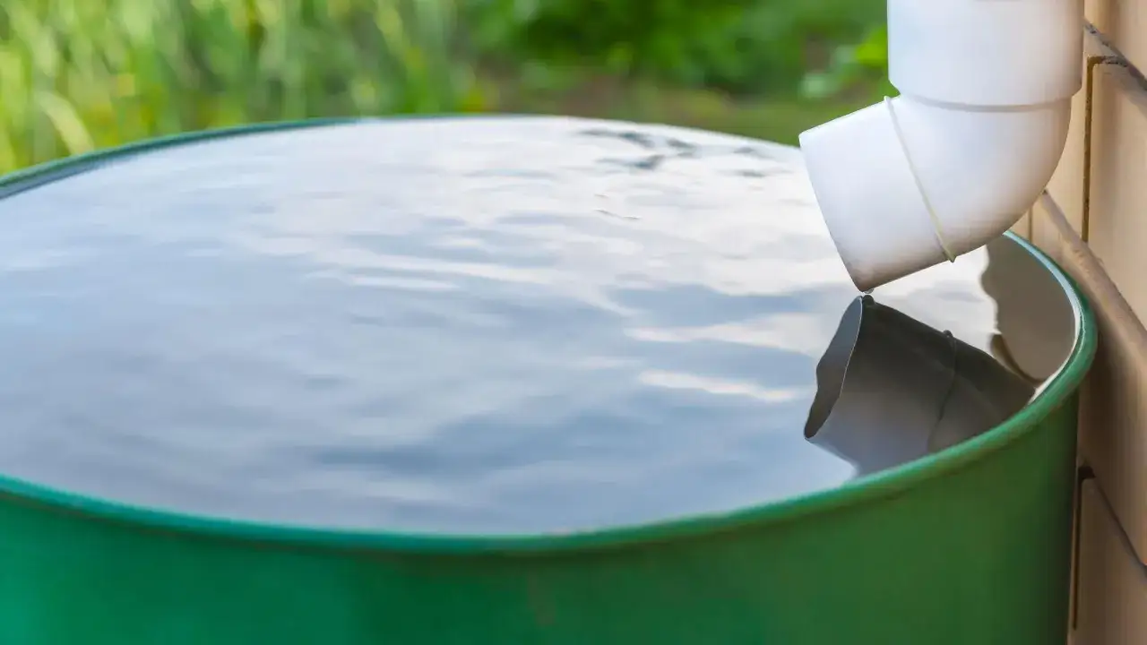 Jak wyczyścić zbiornik na deszczówkę i uniknąć zanieczyszczeń