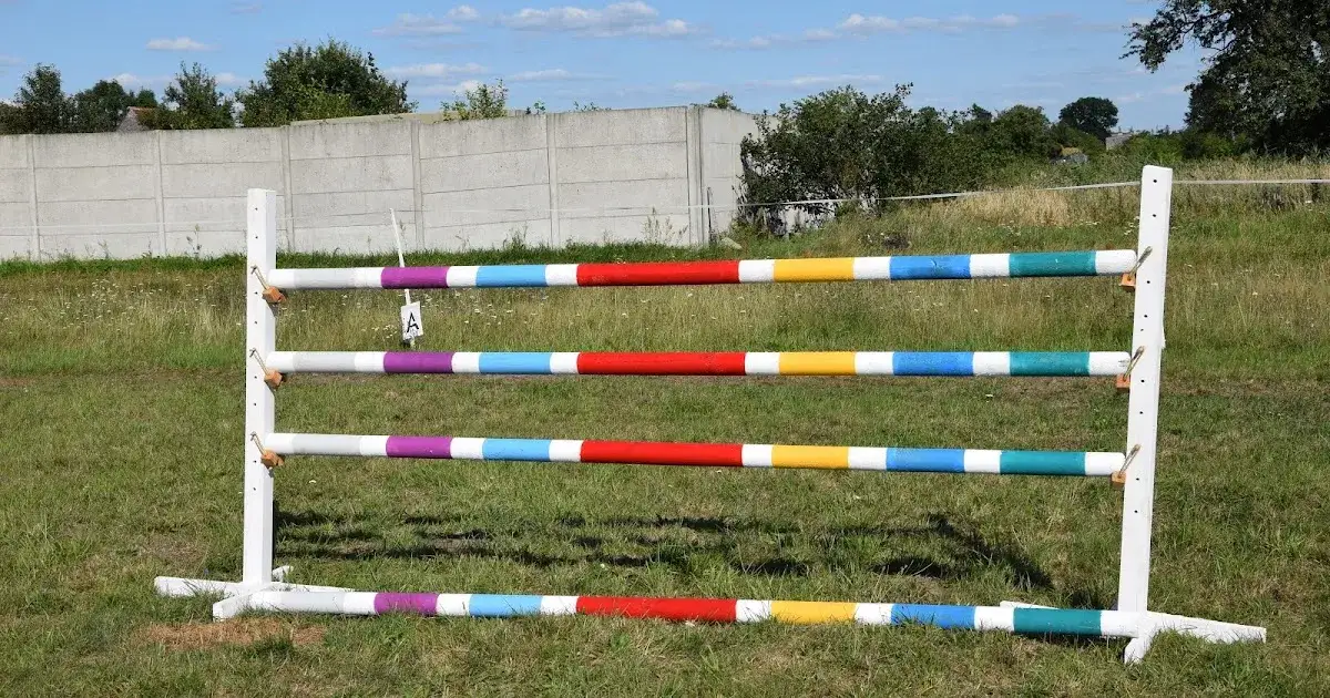 Jak zrobić przeszkody dla koni: łatwe metody i materiały do treningu