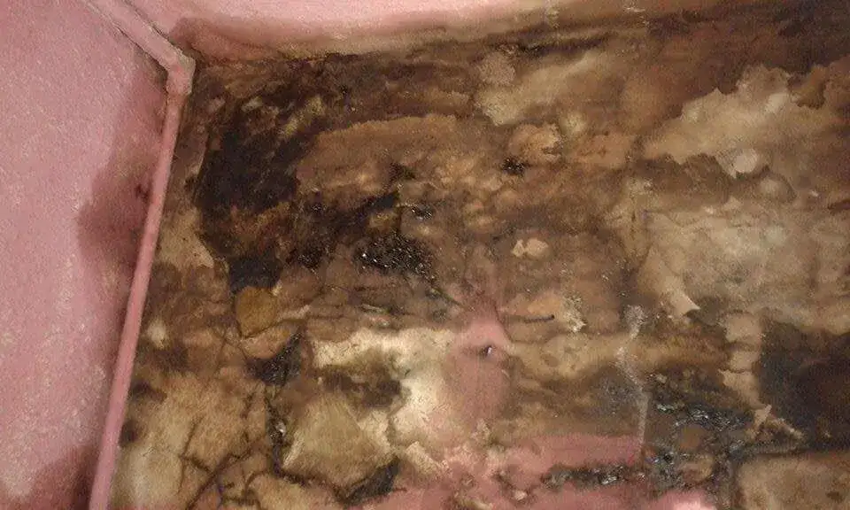 Jak skutecznie usunąć plamy na ścianie po kominku? Sprawdzone metody czyszczenia i przyczyny powstawania zabrudzeń