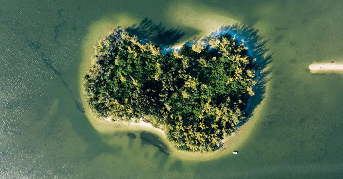 Jak zwiedzić Kościół Pokoju w Świdnicy bez kolejek? Sprytne triki