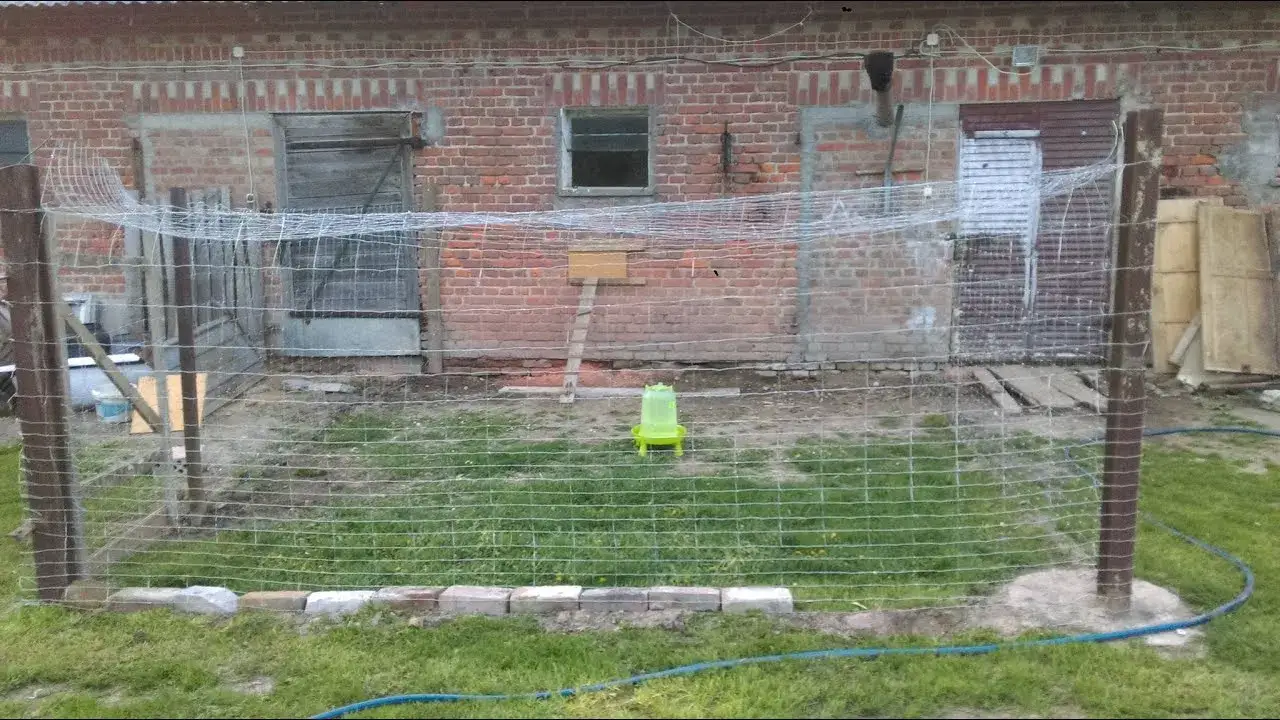 Jak zrobić ogrodzenie dla kur: Prosty poradnik krok po kroku
