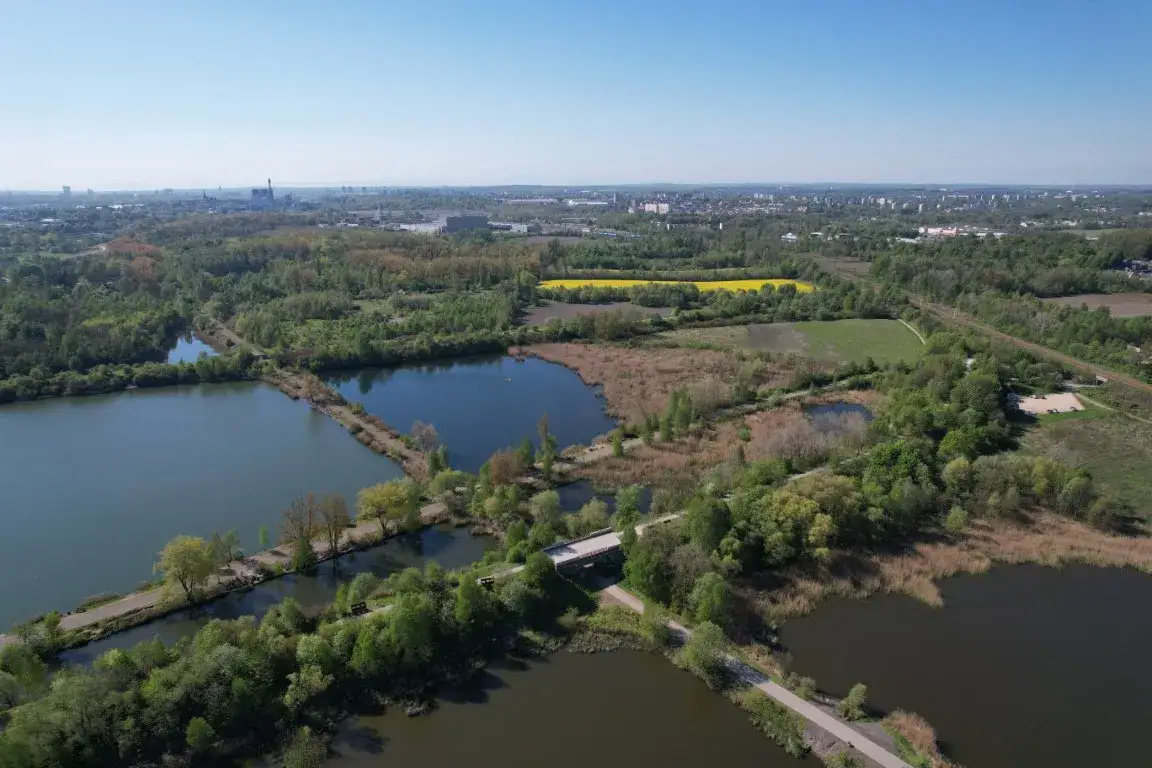 Dlaczego Żabie Doły to raj dla miłośników przyrody? To 6 powodów!