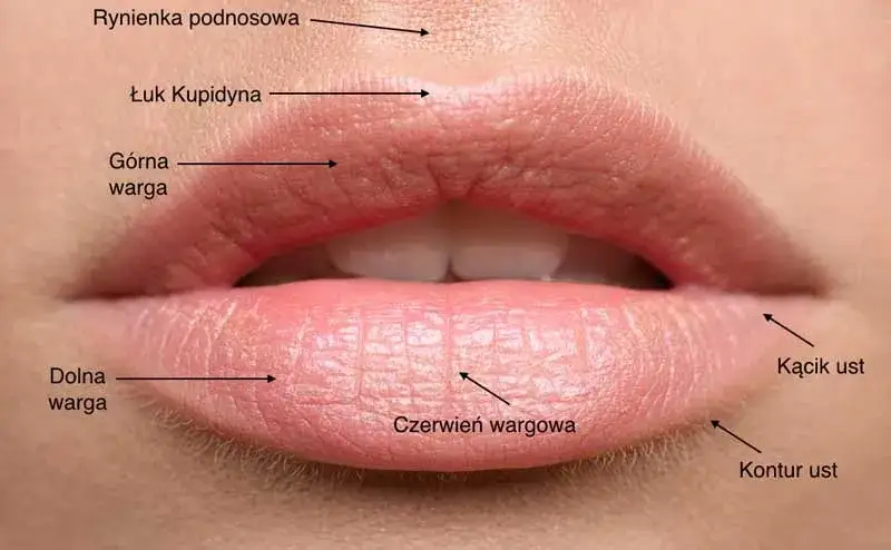 Koreańskie usta - sekrety soczystego makijażu w stylu K-beauty