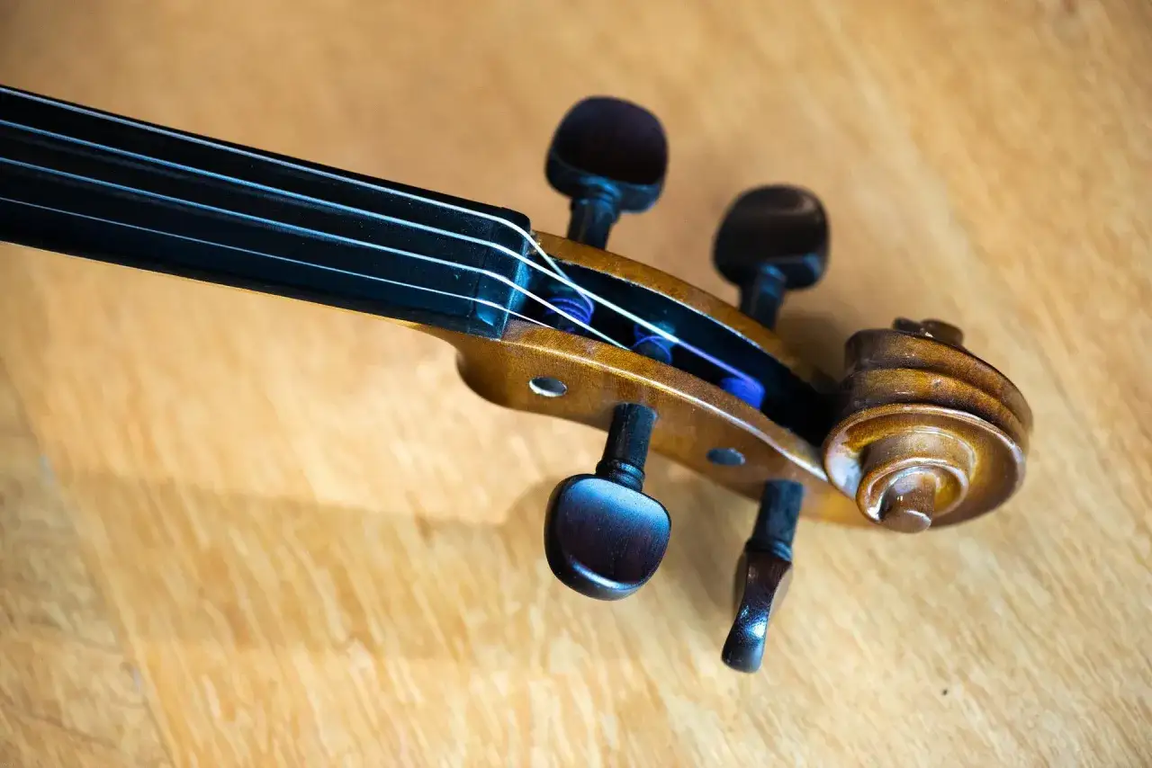 Jakie skrzypce kupić na początek, aby szybko cieszyć się grą?